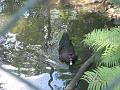 Zoo Cottbus 107